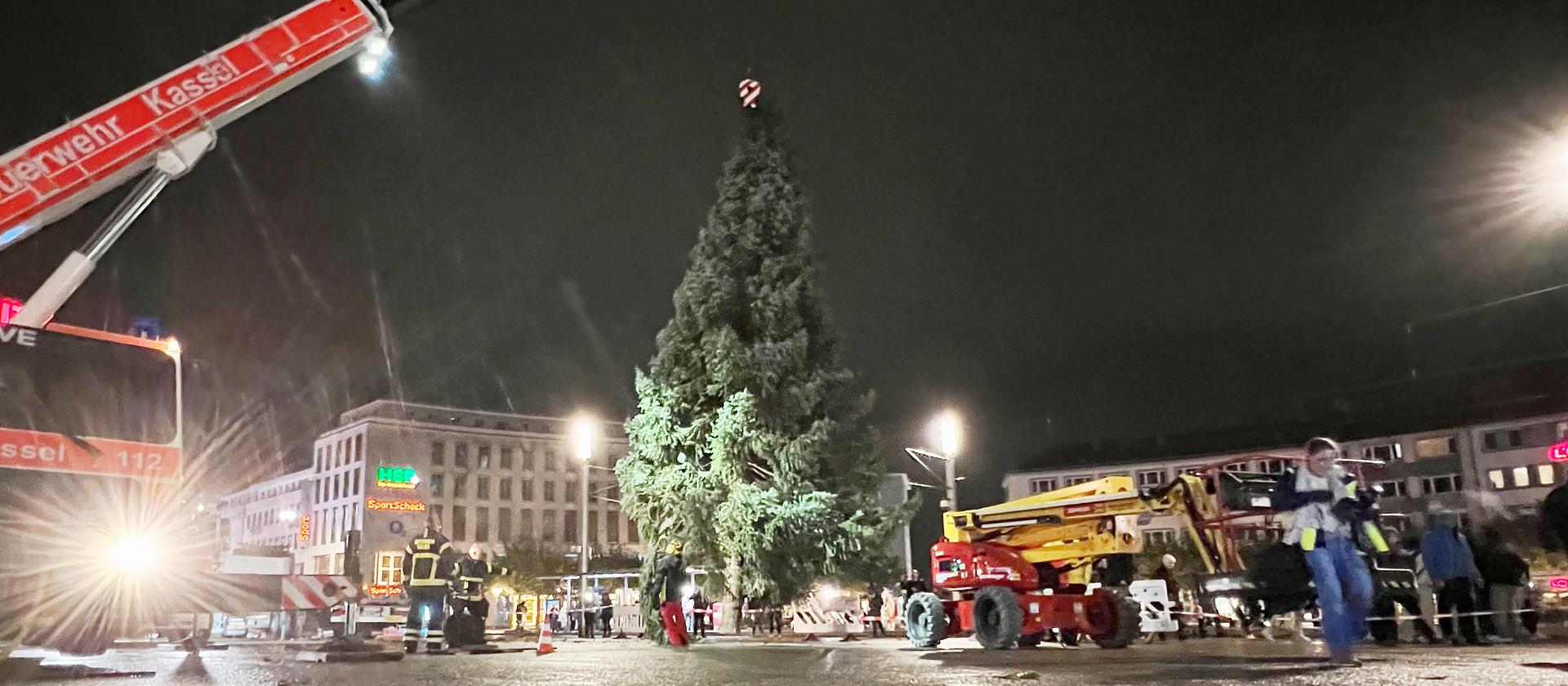 Tannenbaum "Lotte" aufgestellt Kasseler Weihnachtsbaum ist eine Frau