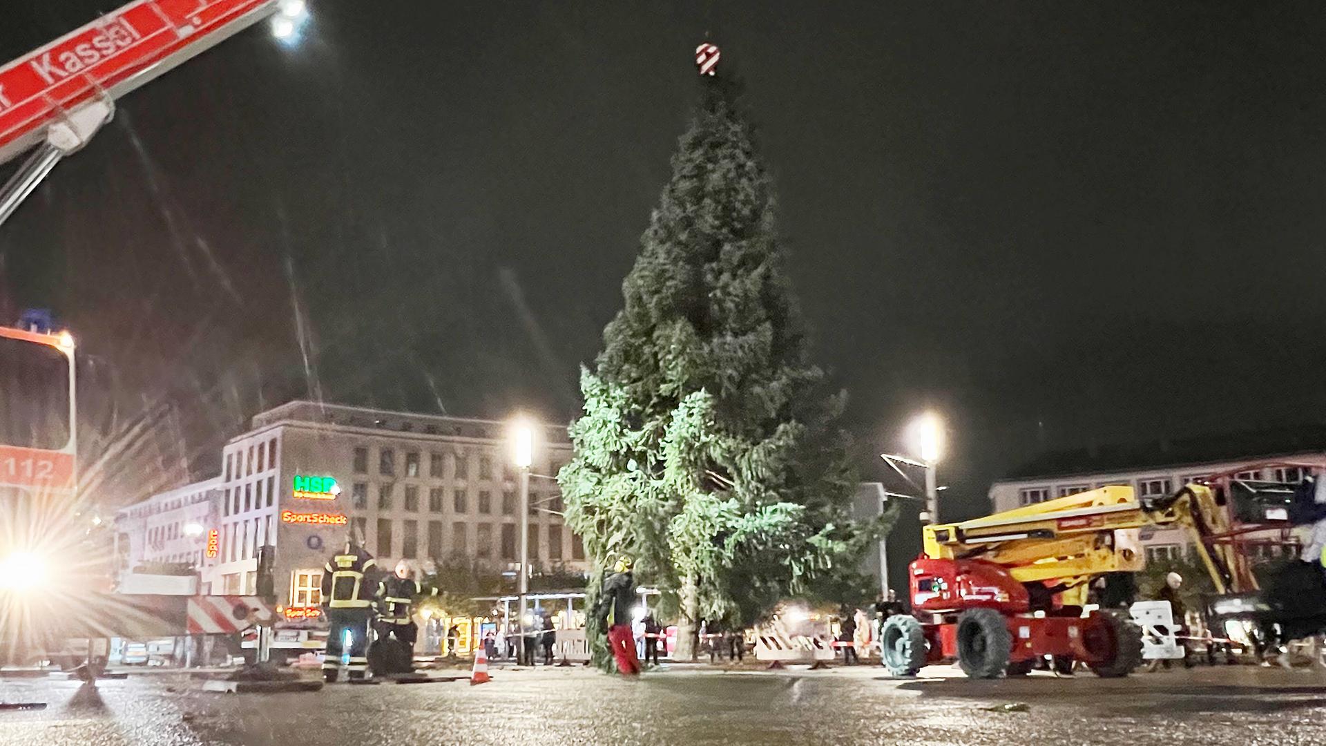 Tannenbaum "Lotte" aufgestellt Kasseler Weihnachtsbaum ist eine Frau