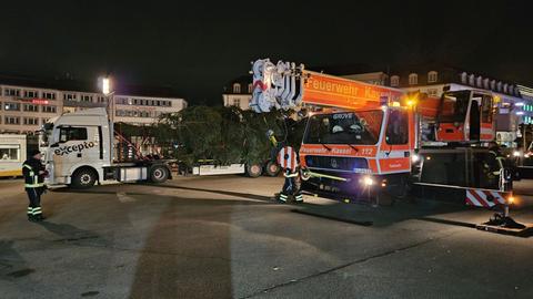 Der Weihnachtsbaum erreicht mit einem Lastwagen den Kasseler Königsplatz. 