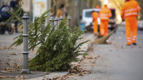 Ein ausrangierter Weihnachtsbaum liegt zur Abholung bereit.