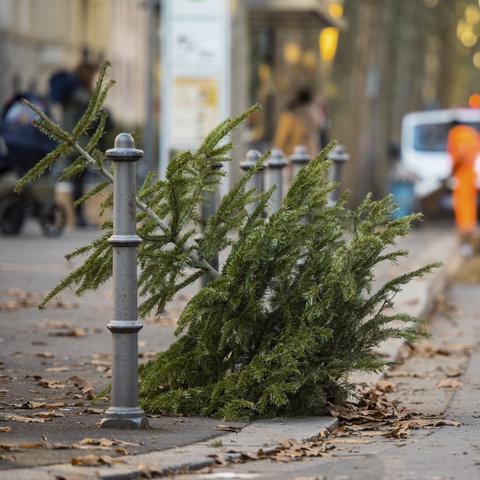 Ein ausrangierter Weihnachtsbaum liegt zur Abholung bereit.