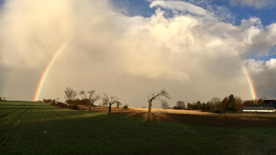 Regenbogen - bewölkter Himmel mit ein bisschen Blau - im Vordergrund ein grünes Feld mit einem Baum