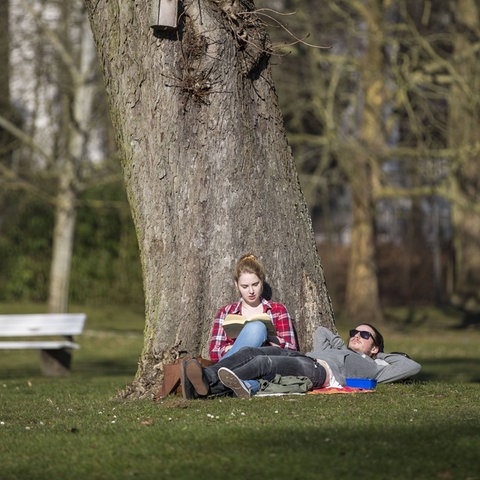 Menschen sitzen in einem Park. Ein Mann und eine Frau auf einer Wiese, an einem Baum gelehnt. Andere drumherum unscharf auf Bänken.