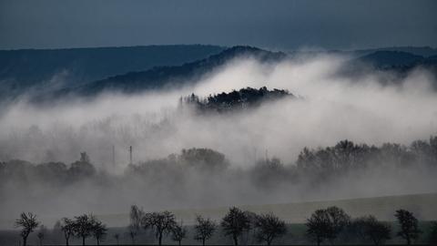 Nebelschwaden über einem Wald