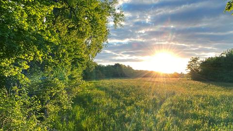 Sonne bricht durch graue Wolken durch und scheint auf eine Wiese.