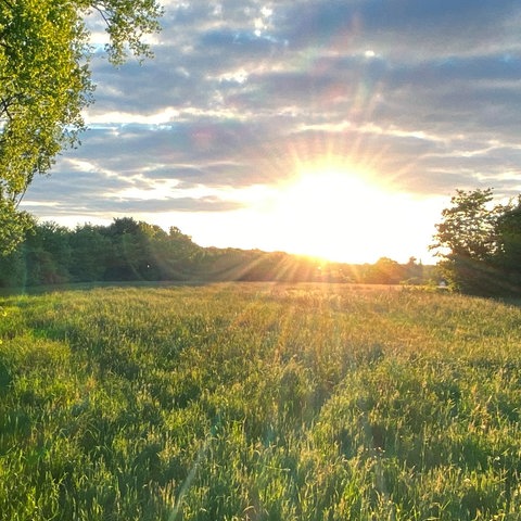 Sonne bricht durch graue Wolken durch und scheint auf eine Wiese.