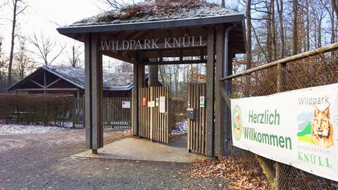 Wildpark Knüll