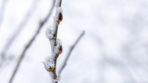 Winterlandschaft im Taunus