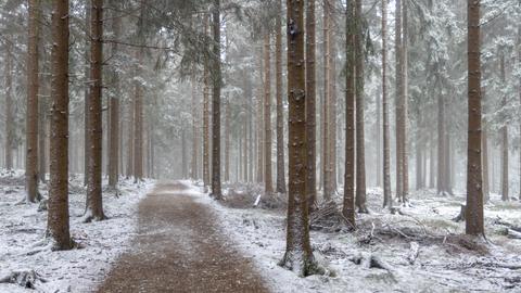 Winterlandschaft im Taunus