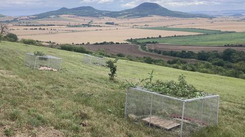 Käfige stehen in der Landschaft