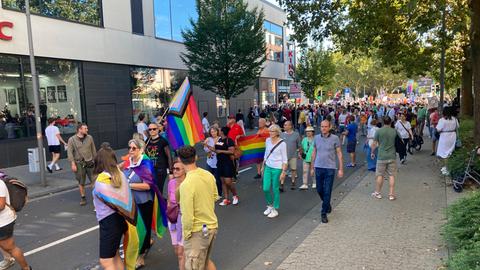 Einer der Demonstrationszüge gegen gegen den Landesparteitag der AfD in Hofheim