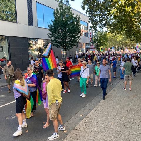 Einer der Demonstrationszüge gegen gegen den Landesparteitag der AfD in Hofheim