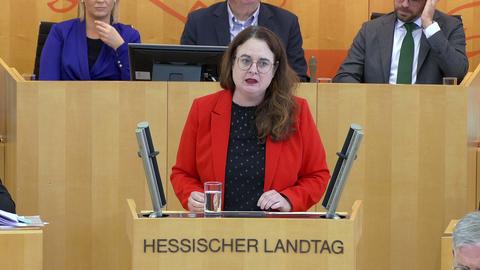 Landtag_110924