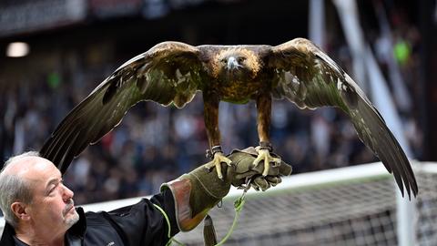 Falkner Norbert Lawitschka mit Eintracht-Maskottchen Attila