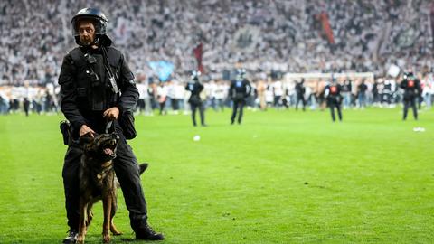 Ein Polizist mit Hund auf dem Rasen im Deutsche Bank Park