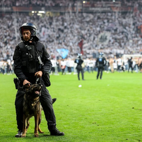 Ein Polizist mit Hund auf dem Rasen im Deutsche Bank Park