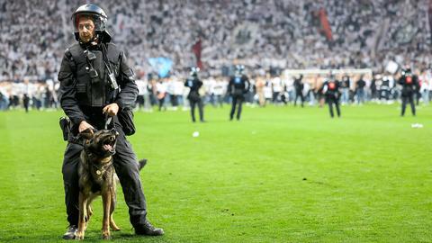 Ein Polizist mit Hund auf dem Rasen im Deutsche Bank Park