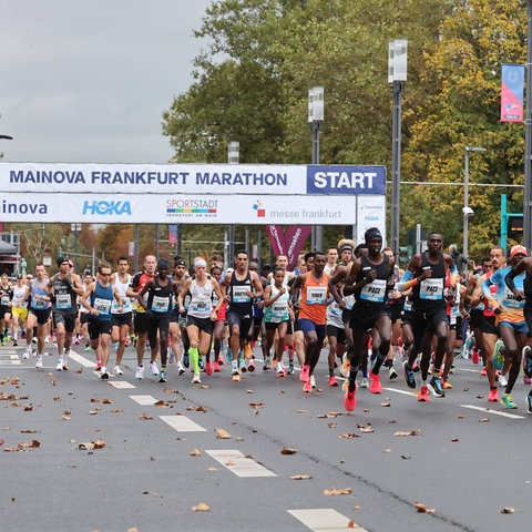 In den Elite-Rennen beim Frankfurt Marathon könnte es in diesem Jahr sehr spannend zugehen.