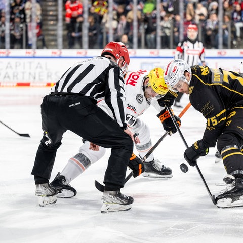 Löwen Frankfurt gegen Nürnberg Icetigers