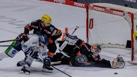 Löwen Frankfurt gegen Straubing