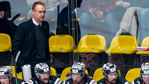 Gerry Fleming, Trainer der Löwen Frankfurt