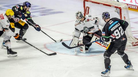 Löwen Frankfurt Eisbären Berlin