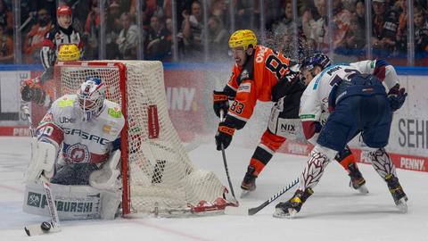 Die Löwen Frankfurt verlieren gegen die Eisbären aus Berlin