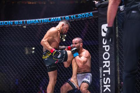 Szene vom MMA-Event in Frankfurt