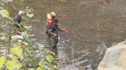 Kompletter See bei Herborn wegen gefräßigem Wels abgepumpt