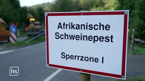 Schweinepest-Warnschild