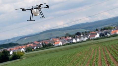 Smart Farming: Mit einer Drohne gegen Schädlinge wie den Maiszünsler bekämpfen 