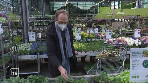 New garden trends in Hesse – Video: |  hessenschau.de