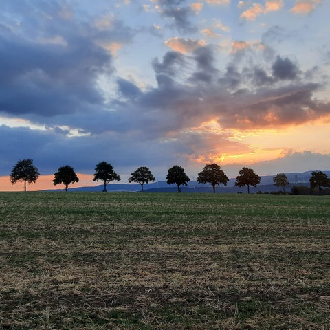 O usuário do Hessenschau.de, Peter Onkelmann, capturou o nascer do sol em Hünstetten com sua câmera.