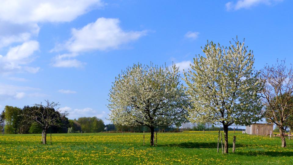 Bildergalerie: Wetterbilder-Galerie | hessenschau.de | Wetter