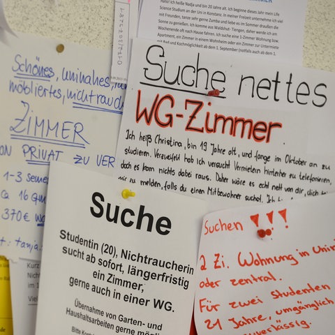 Mehrere Wohnungsgesuche hängen an einem Schwarzen Brett 