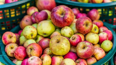 Körbe mit Äpfeln von Streuobstwiesen stehen nebeneinander.