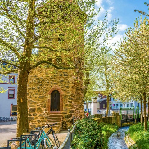 Mittelalterlicher Turm in Bensheim - als Rest der Stadtmauer - rechts daneben fließt ein schmaler Bach, die Lauter. Bäume säumen den Bachlauf. Im Hintergrund: Häuser