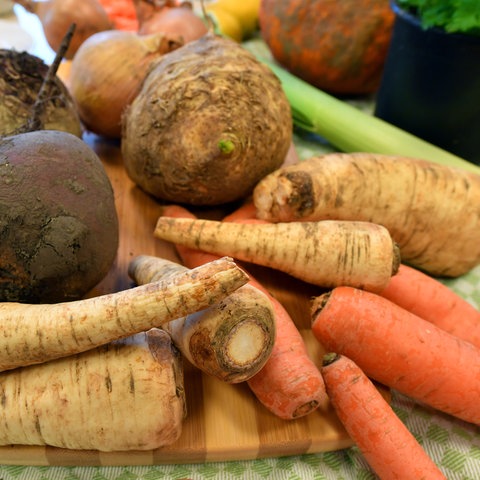 Rote Bete und Karotten werden durch von Zikaden übertragenen Bakterien geschädigt