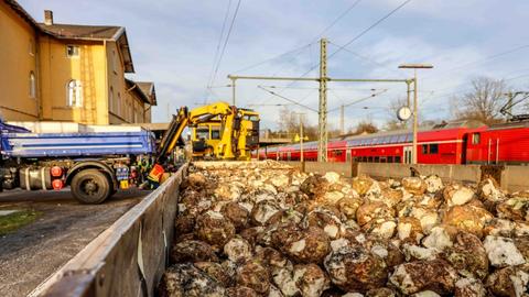 An einem Bahnhof liegen neben den Gleisen viele Zuckerrüben. Im Hintergrund sind eine rote Regionalbahn und ein gelber Bagger zu sehen sowie ein blauer Lastwagen mit offener Ladefläche.