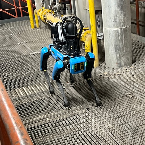 Vorstellung eines Roboterhundes beim Energieversorger Offenbach