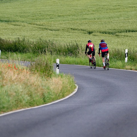 Zwei Rennradfahrer fahren auf einer Landstraße, umgeben von grünen Feldern.