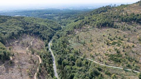 Blick aus der Vogelperspektive auf den Taunus: Mittelgebirgshügel mit wenigen Bäumen, eine Landstraße in einem Tal