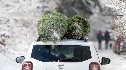 Weihnachtsbaumverkauf in Hessen, Baum auf Auto gespannt