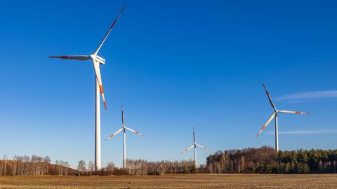 Vier Windräder in einem spärlich bewachsenen Wald am Rand eines winterlich brach liegenden Feldes unter einem strahlend blauen Himmel.