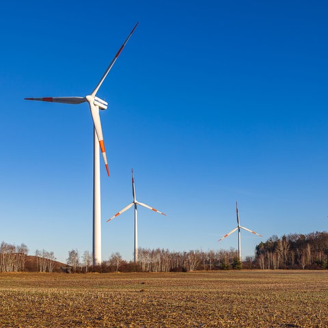 Vier Windräder in einem spärlich bewachsenen Wald am Rand eines winterlich brach liegenden Feldes unter einem strahlend blauen Himmel.