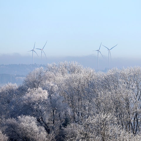 Im Vordergrund einige blätterlose Bäume mit Raureif an den Ästen und Zweigen. Im Hintergrund im Nebel sind einige Windkraftanlagen zu erkennen. 